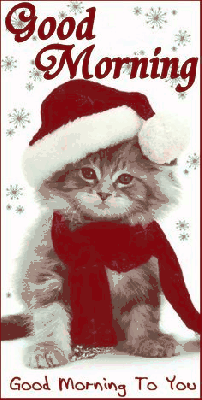 Zimowy kotek wita wszystkich